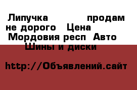 Липучка Goodyear ,продам не дорого › Цена ­ 6 000 - Мордовия респ. Авто » Шины и диски   